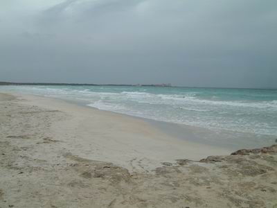 DSCF0057.JPG
